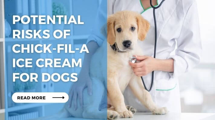 Potential Risks of Chick-Fil-A Ice Cream for Dogs