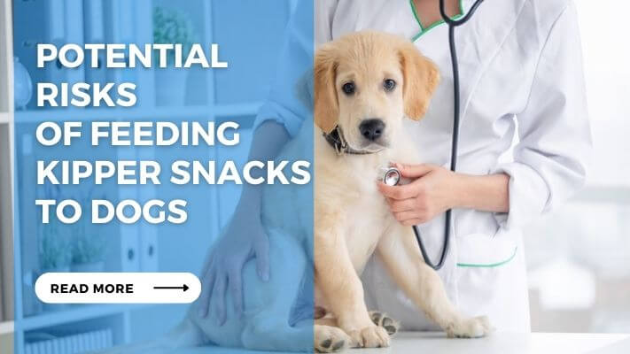 Potential Risks of Feeding Kipper Snacks to Dogs