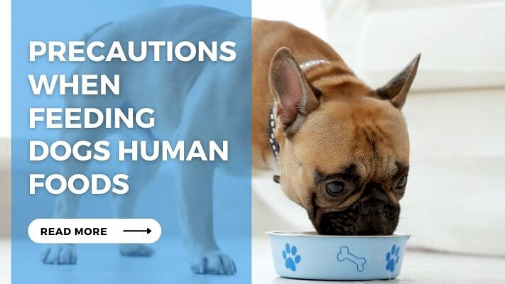 Precautions When Feeding Dogs Human Foods