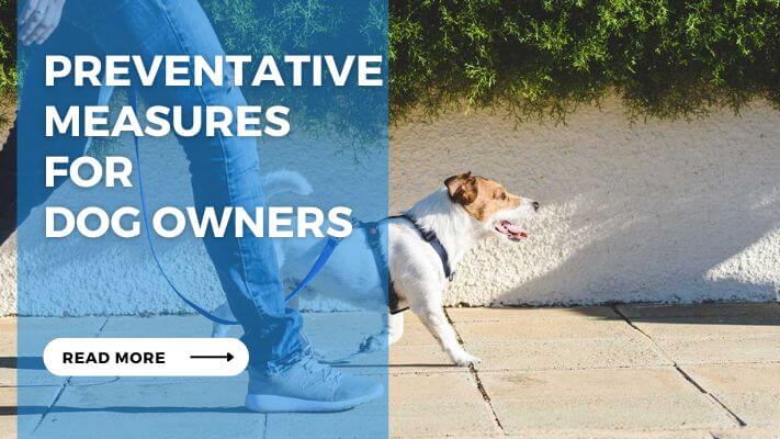 Preventative Measures for Dog Owners