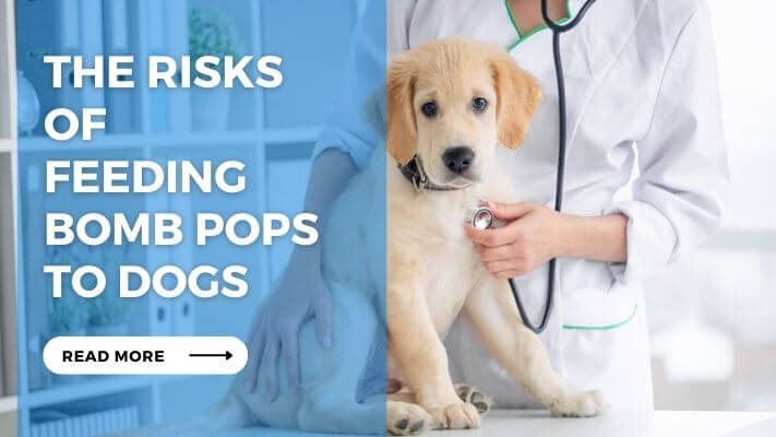 The Risks of Feeding Bomb Pops to Dogs