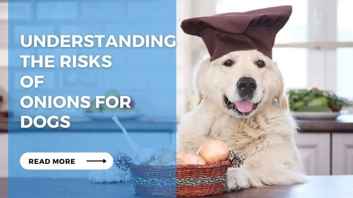 Understanding the Risks of Onions for Dogs