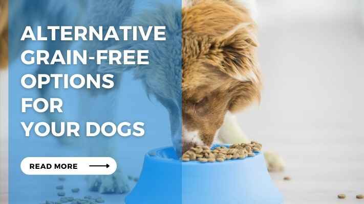 Alternative Grain-Free Options for Your Dogs