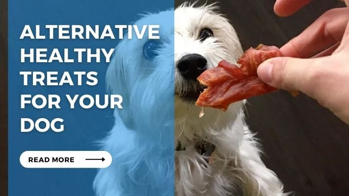 Alternative Healthy Treats for Your Dog