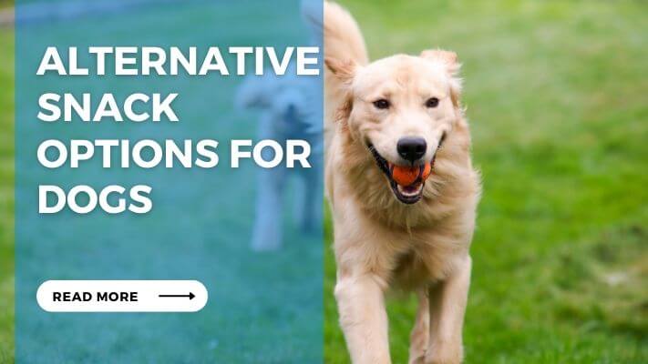 Alternative Snack Options for Dogs