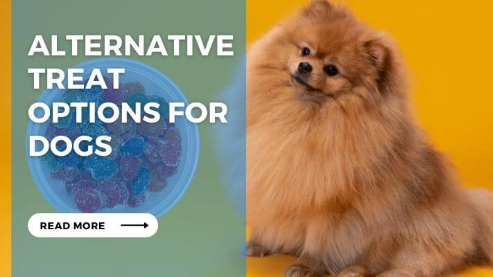 Alternative Treat Options for Dogs