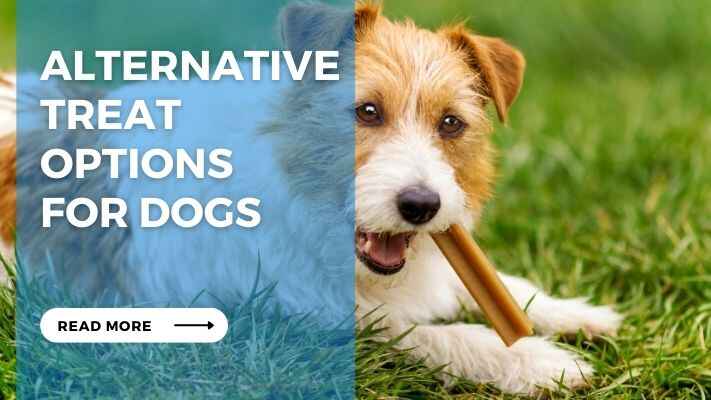 Alternative Treat Options for Dogs