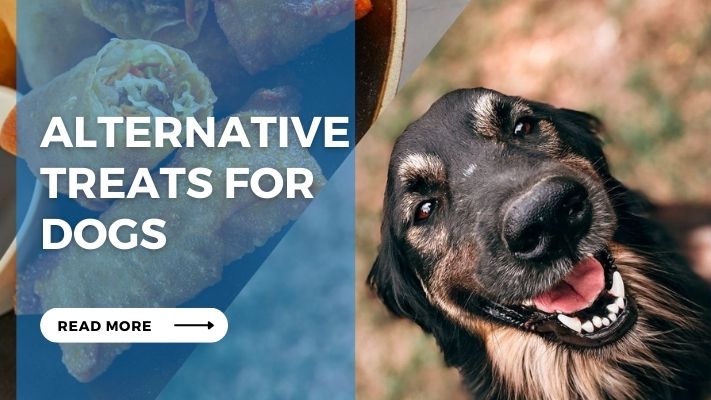 Alternative Treats for Dogs