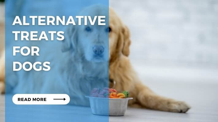 Alternative Treats for Dogs