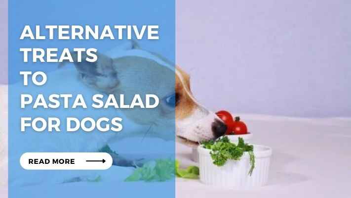 Alternative Treats to Pasta Salad for Dogs