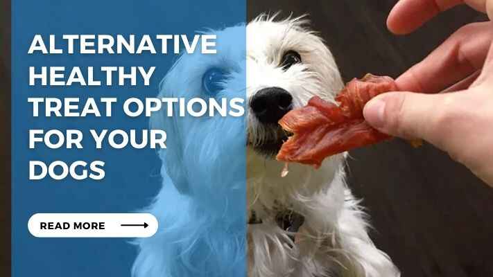 Alternative Healthy Treat Options for Your Dogs