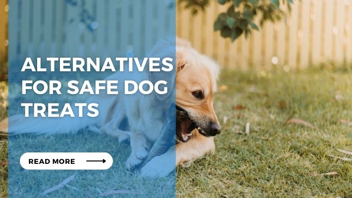 Alternatives for Safe Dog Treats