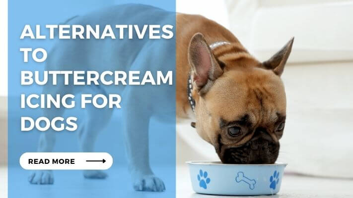 Alternatives to Buttercream Icing for Dogs