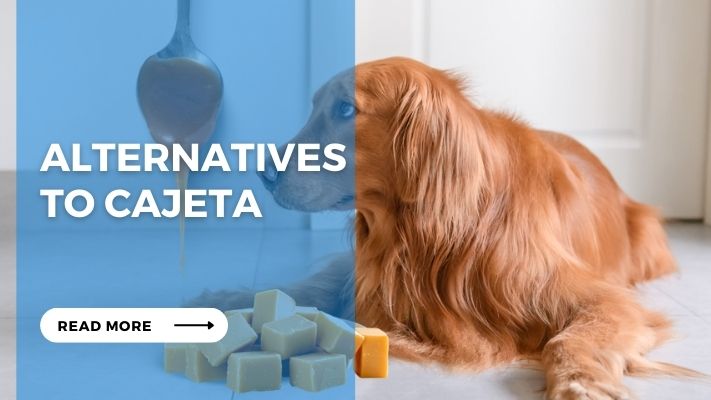 Alternatives to Cajeta