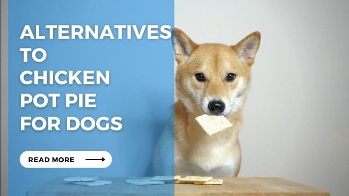 Alternatives to Chicken Pot Pie for Dogs