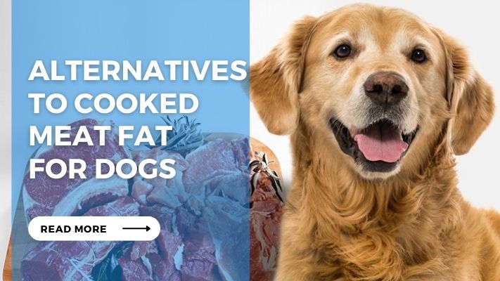Alternatives  to Cooked  Meat Fat  for Dogs