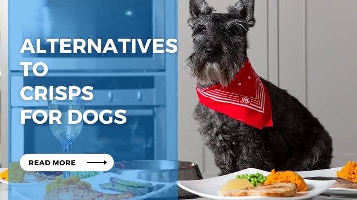 Alternatives to Crisps for Dogs