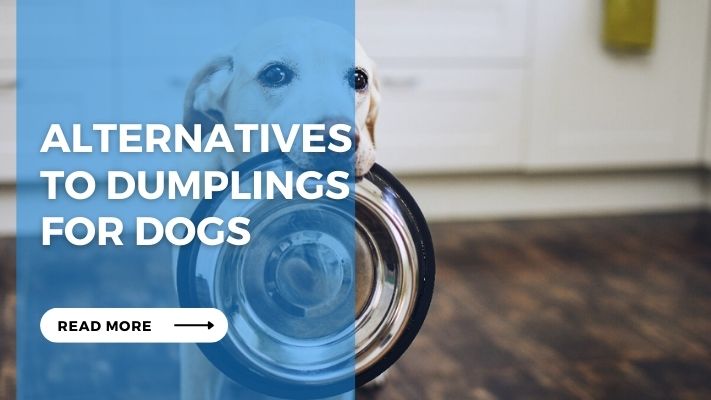 Alternatives  to Dumplings  for Dogs