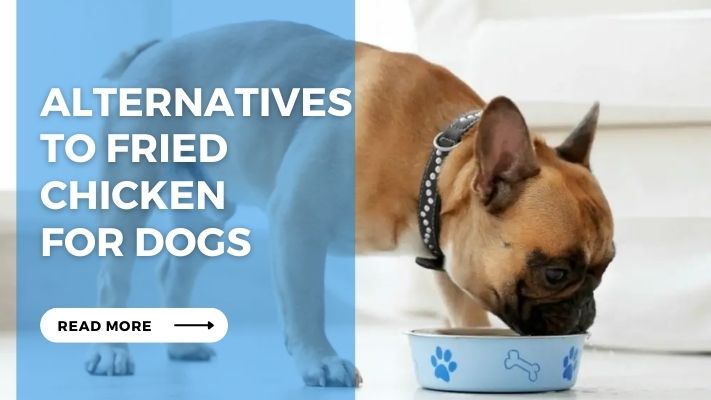 Alternatives to Fried Chicken for Dogs