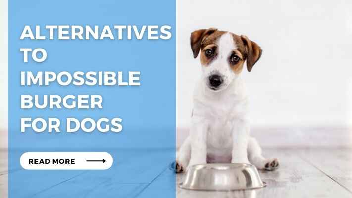 Alternatives to Impossible Burger for Dogs