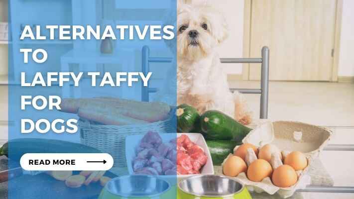 Alternatives to Laffy Taffy for Dogs