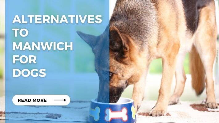 Alternatives to Manwich for Dog