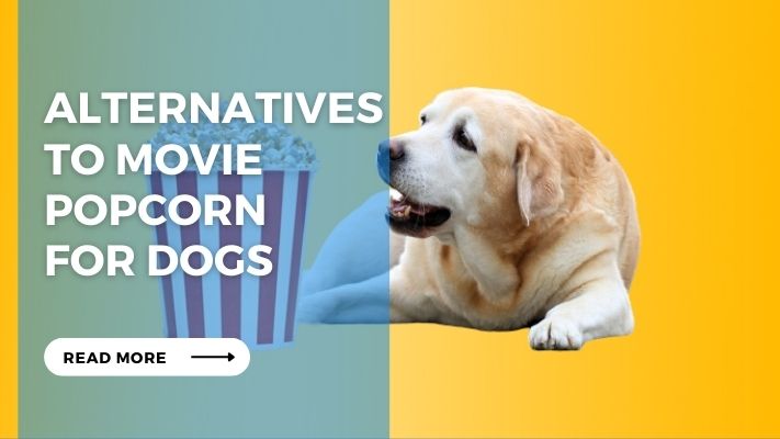 Alternatives to Movie Popcorn for Dogs