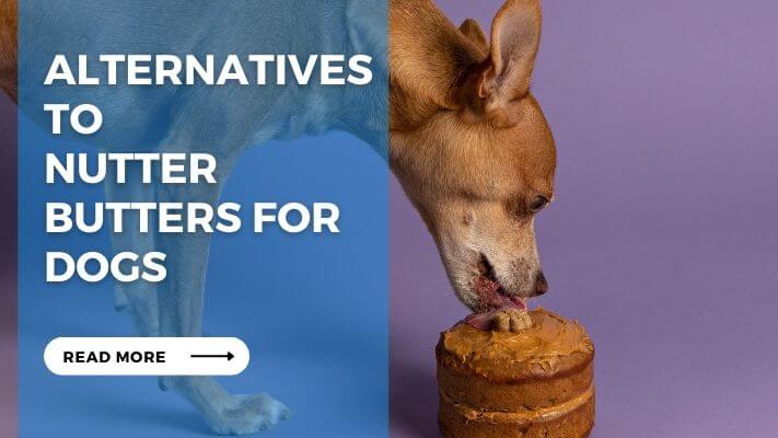 Alternatives to Nutter Butters for Dogs