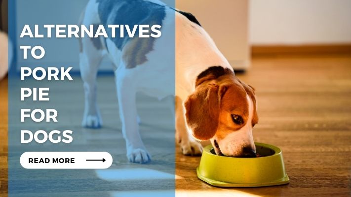 Alternatives to Pork Pie for Dogs