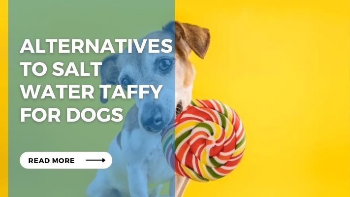 Alternatives to Salt  Water Taffy for Dogs