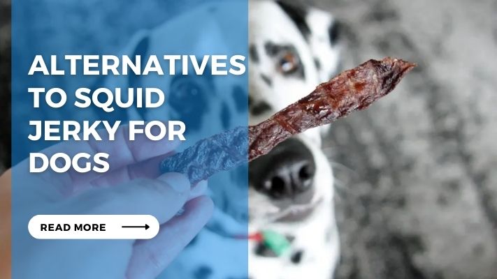 Alternatives to Squid  Jerky for  Dogs