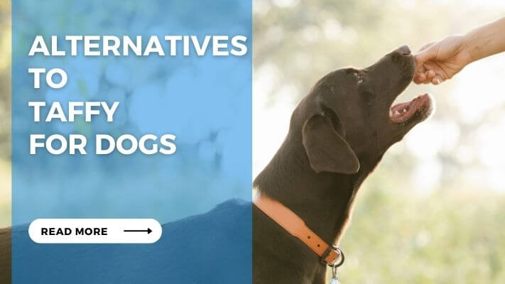 Alternatives to Taffy for Dogs