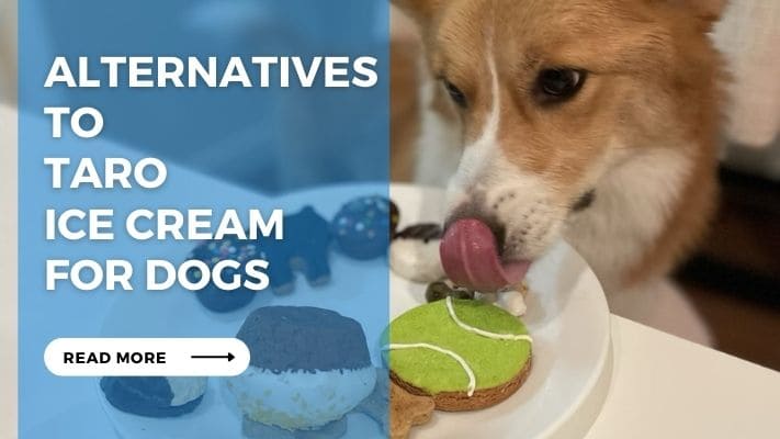 Alternatives to Taro Ice Cream for Dogs