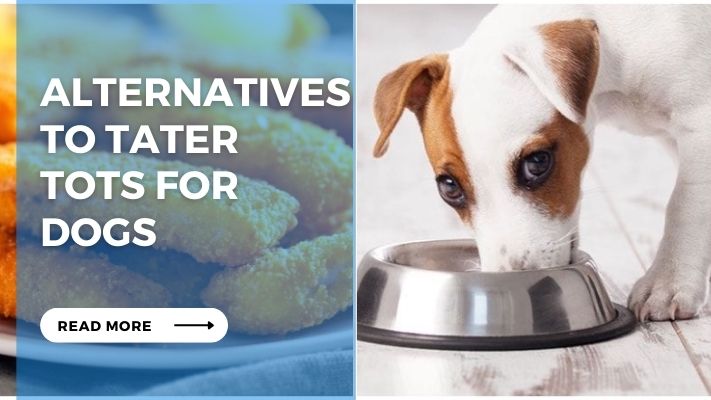 Alternatives to Tater  Tots for  Dogs