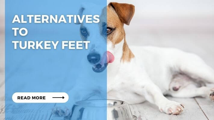 Alternatives to Turkey Feet