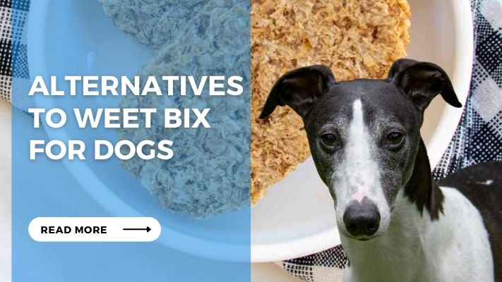 Alternatives to Weet Bix  for Dogs