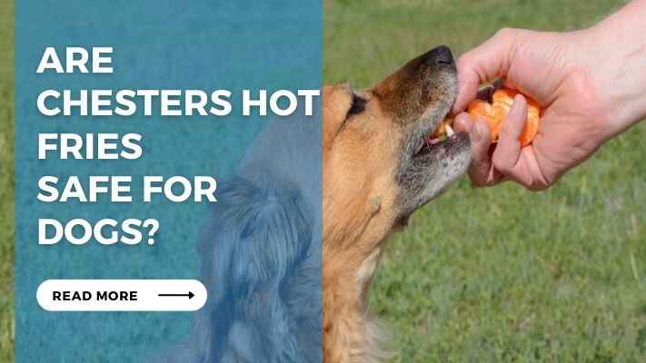 Are Chesters Hot Fries Safe for Dogs?