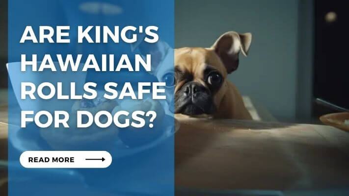 Are Kings Hawaiian Rolls Safe for Dogs