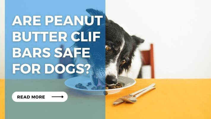 Are Peanut Butter Clif Bars Safe for Dogs