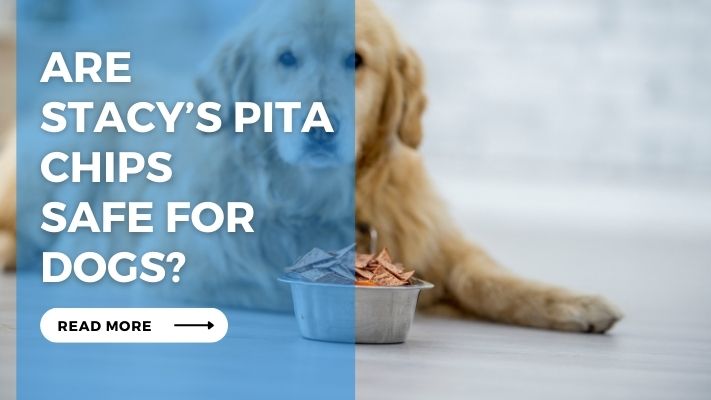 Are Stacy’s Pita Chips Safe for Dogs?