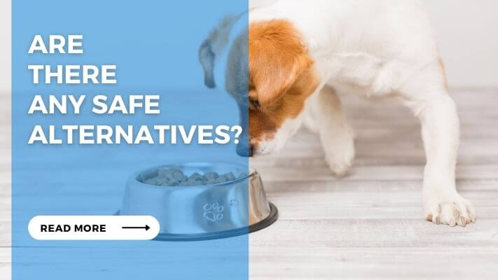 Are There Any Safe Alternatives