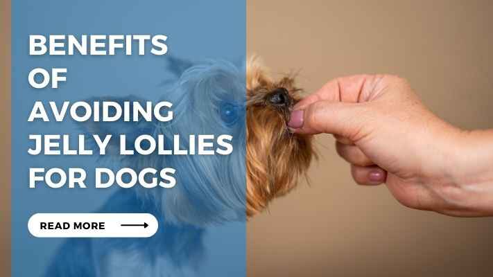 Benefits of Avoiding Jelly Lollies for Dogs