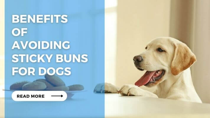 Benefits of Avoiding Sticky Buns for Dogs