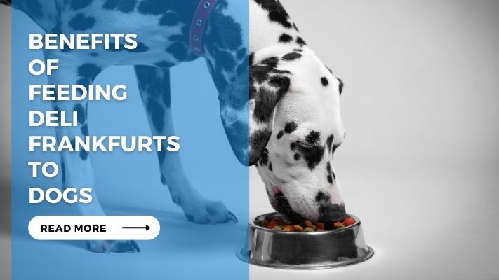 Benefits of Feeding Deli Frankfurts to Dogs