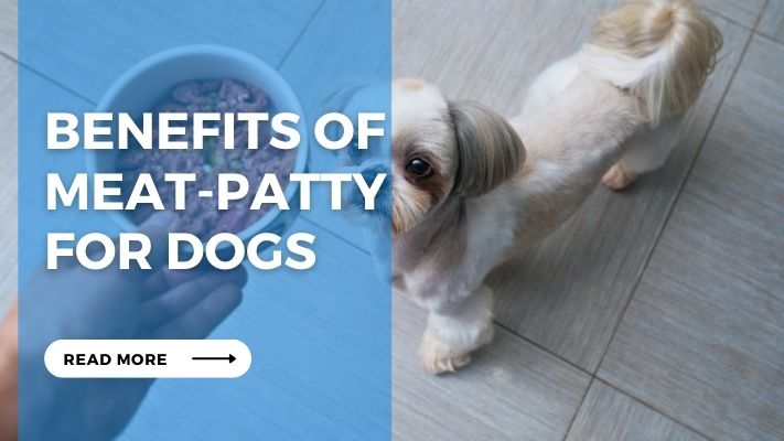 Benefits of Meat-Patty for Dogs