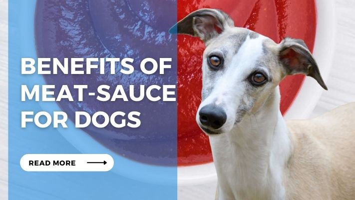 Benefits of Meat-Sauce  for Dogs