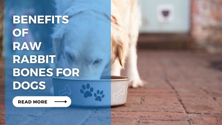 Benefits of Raw Rabbit Bones for Dogs