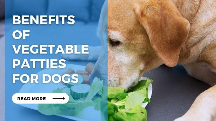 Benefits of Vegetable Patties for Dogs