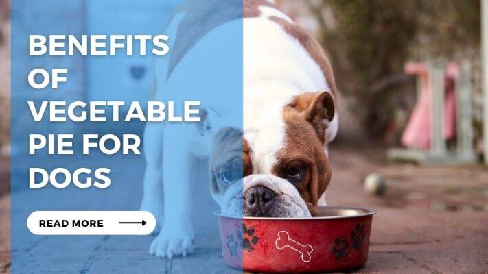 Benefits of Vegetable Pie for Dogs