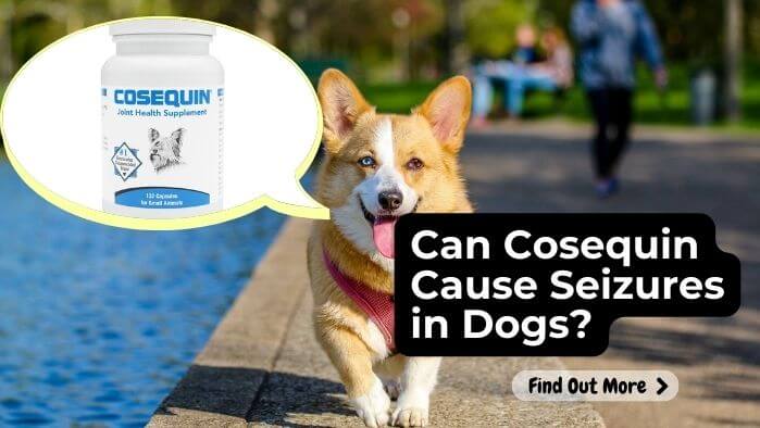 Can Cosequin Cause Seizures in Dogs